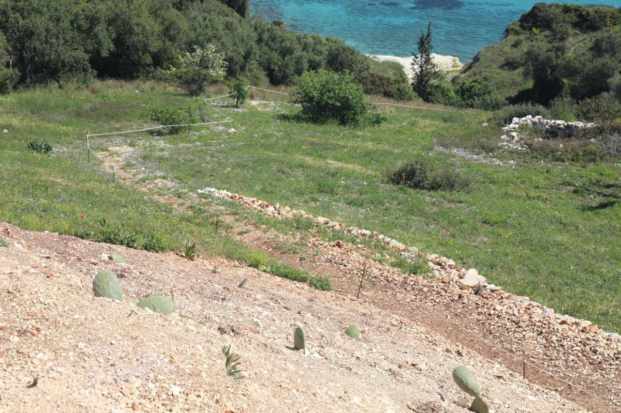 Zante Xigia Bay Villas Khartata Luaran gambar